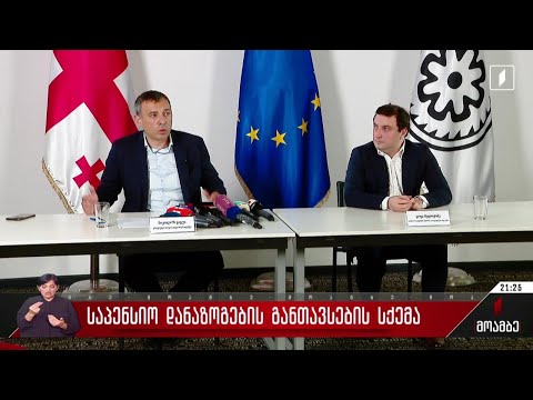 საპენსიო დანაზოგების განთავსების სქემა